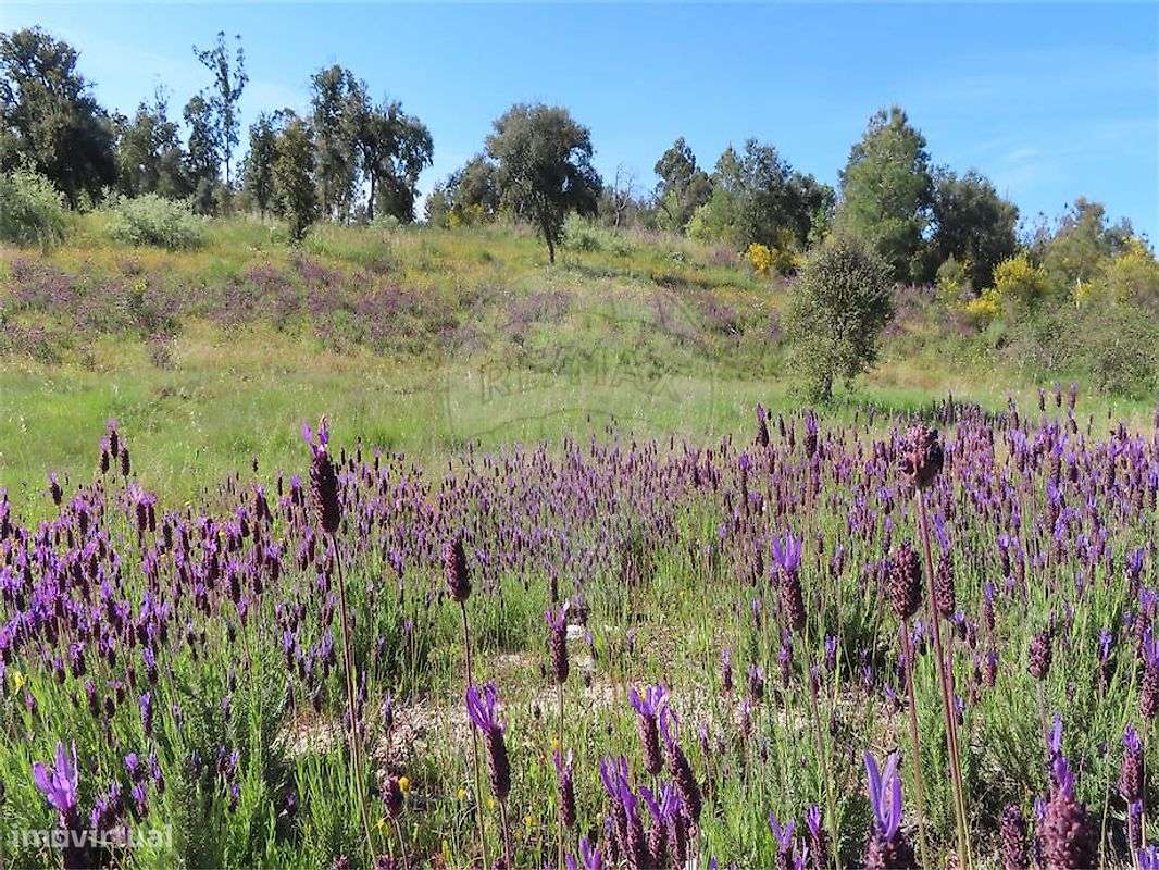 Quinta  para venda - Grande imagem: 4/43