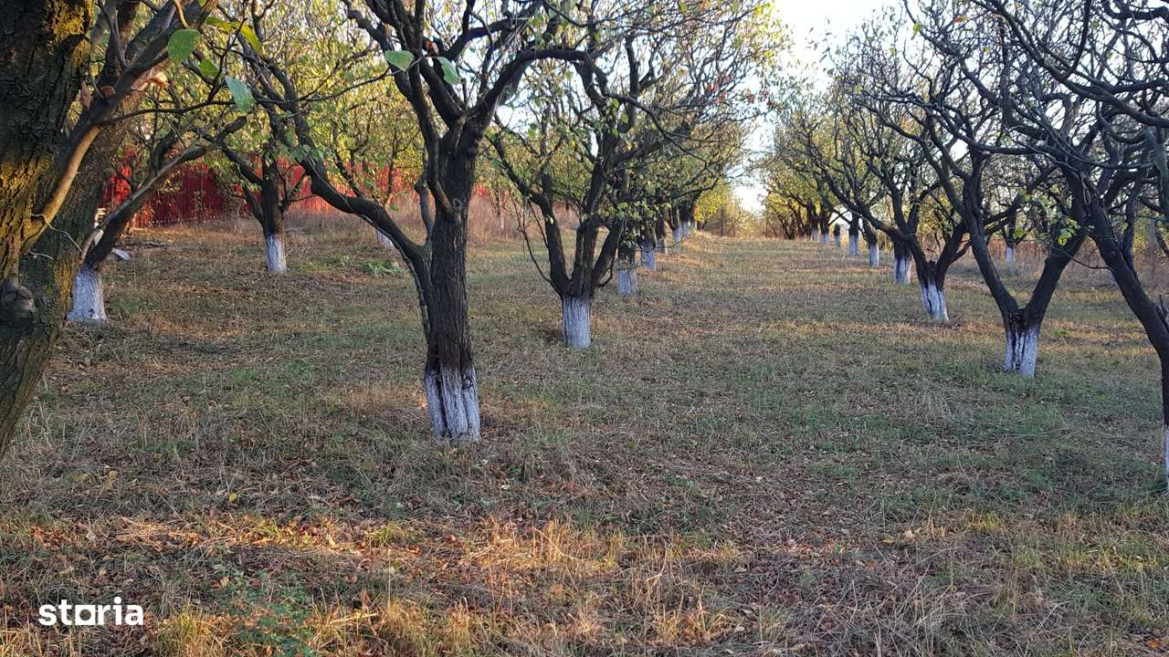 Teren intravilan ideal constructie casa - Pietraria - Barnova – IASI - Imagine principală: 3/20