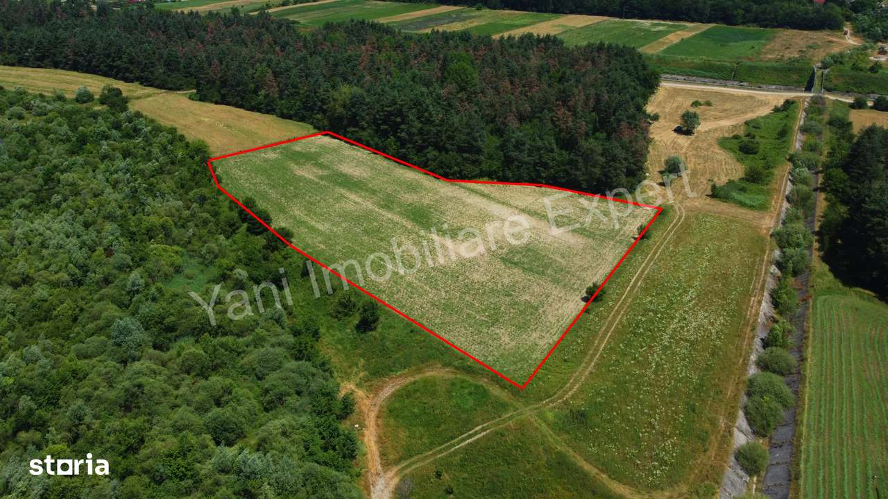 Teren de vânzare în comuna Băiculești, Judet Argeș ( 11.000 mp ) - Imagine principală: 5/12