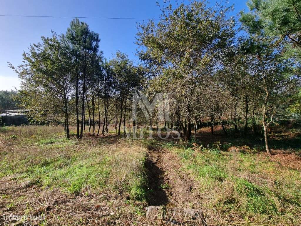 Terreno para construção - Nogueira - Grande imagem: 3/10