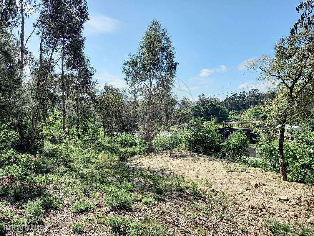 Terreno  para venda-6