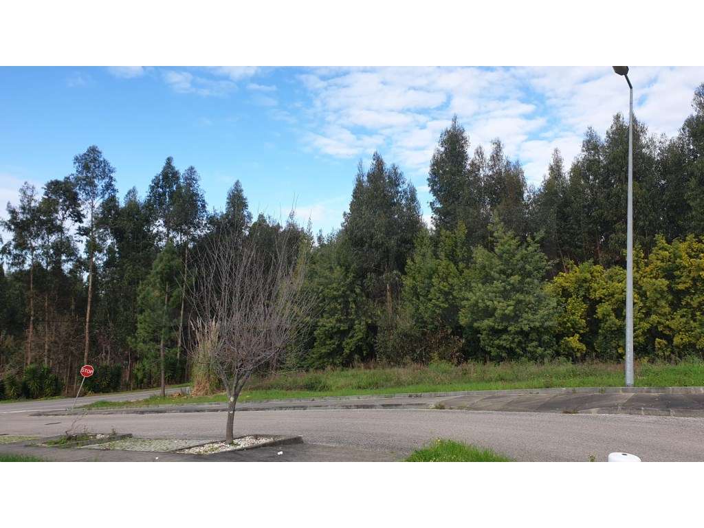 Terreno para venda Águeda - Grande imagem: 4/12