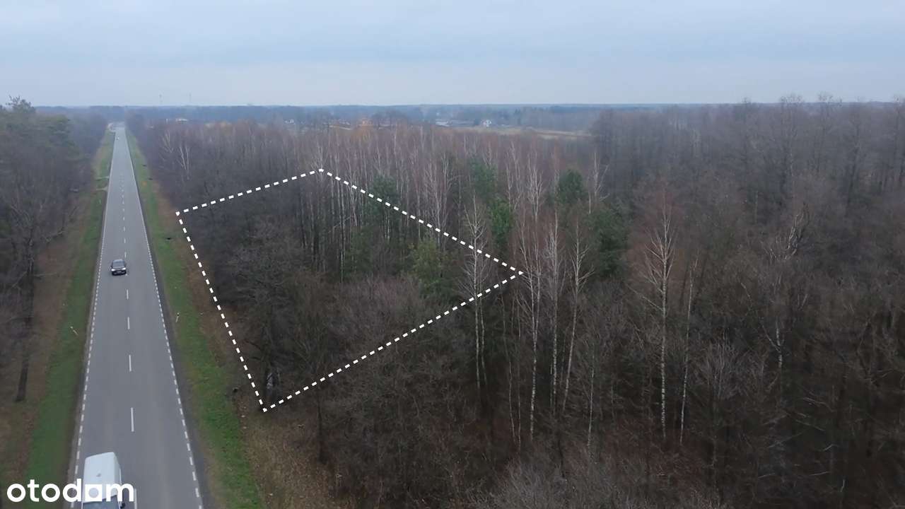 Działka produkcyjno - usługowa - przy trasie numer 50 - Pełny obrazek: 5/6