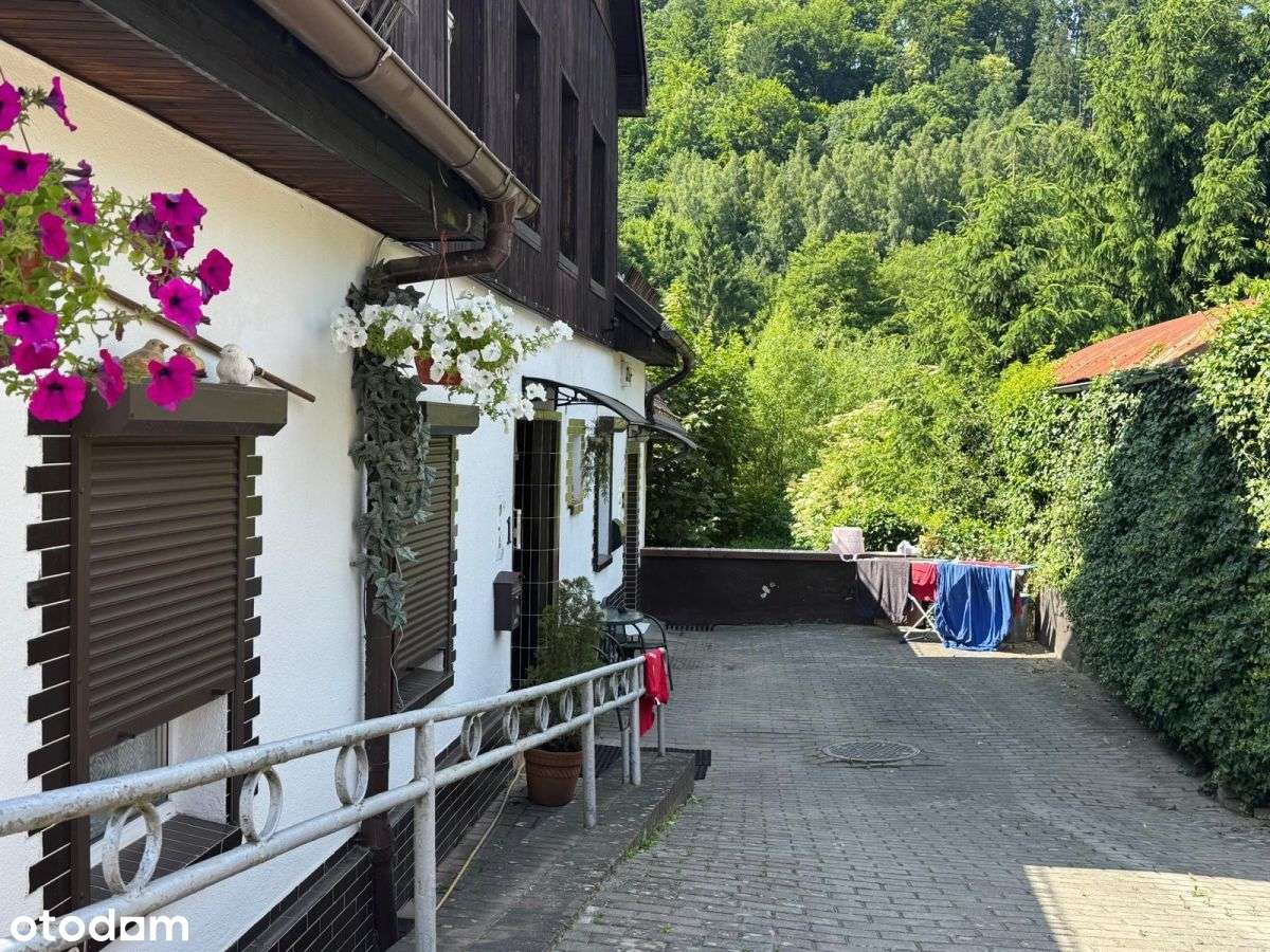 Mieszkanie Bezczynszowe Kudowa-Zdroj SprzedaŻ - Pełny obrazek: 1/15