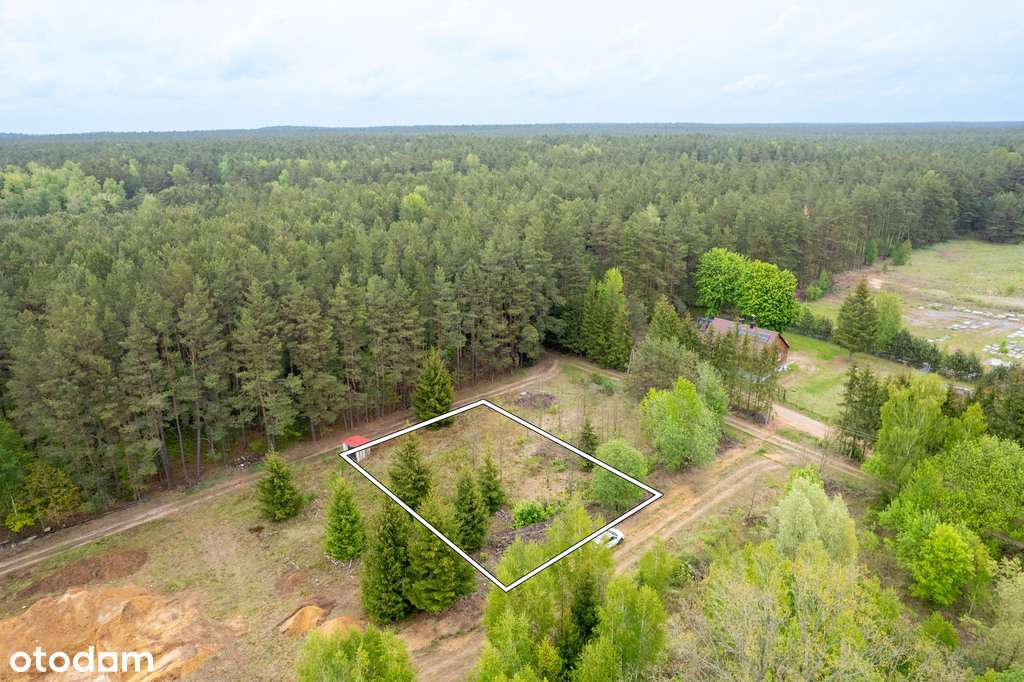 Piękna działka w pożądanej lokalizacji! 901m2 - Pełny obrazek: 4/5