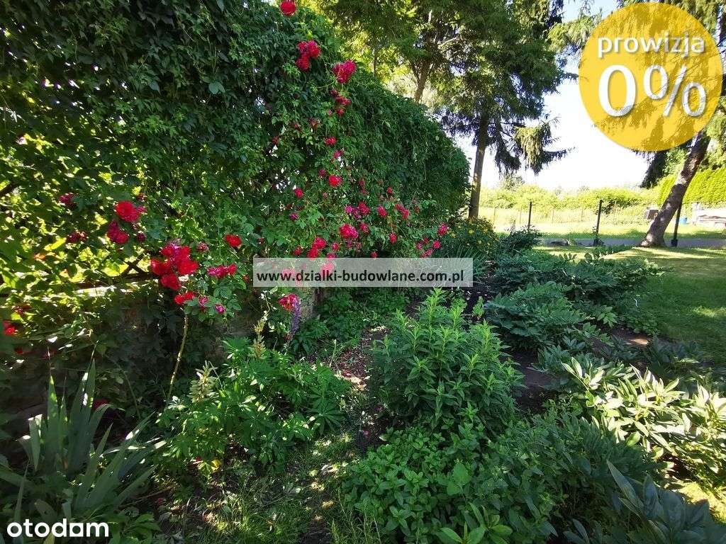 Duży funkcjonalny dom wolnostojący Wrocław Widawa-7