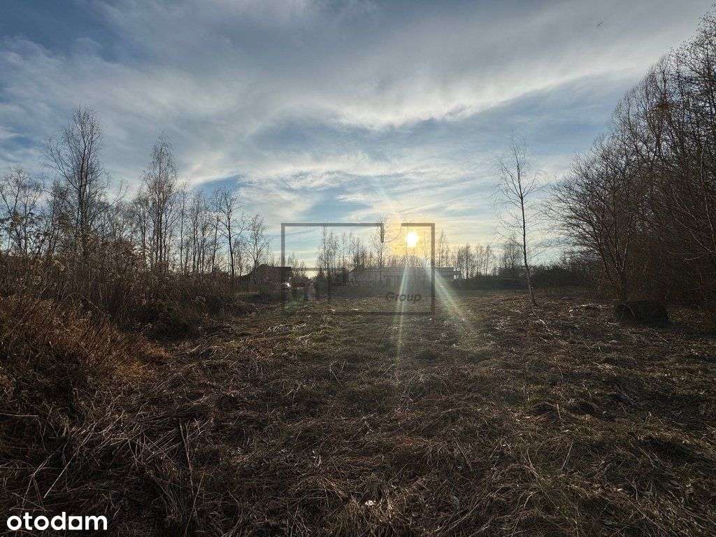 Działka, 5 123 m², Wielgolas Brzeziński - Pełny obrazek: 4/7