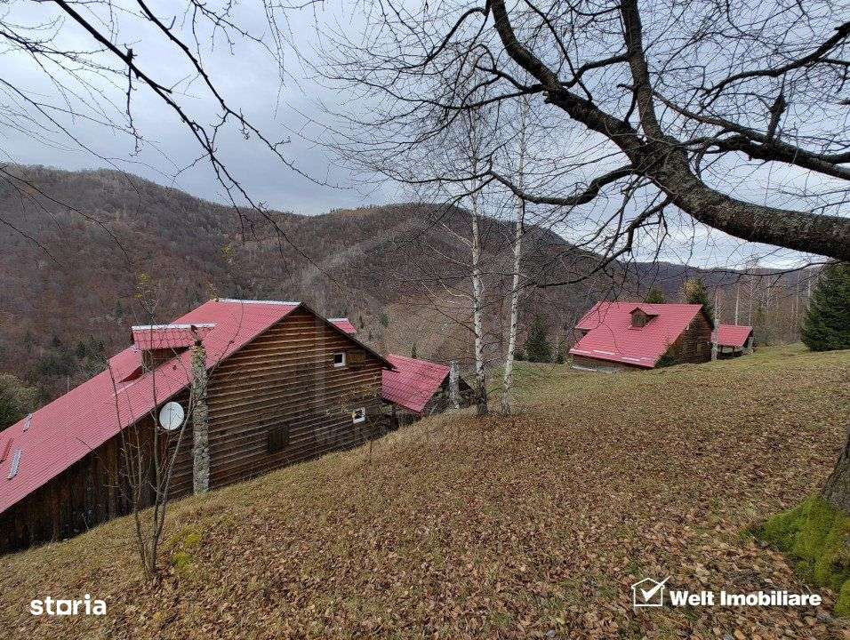 Oportunitate unica! 5ha + 2 cabane de vacanta in Valea Ierii - Imagine principală: 2/19
