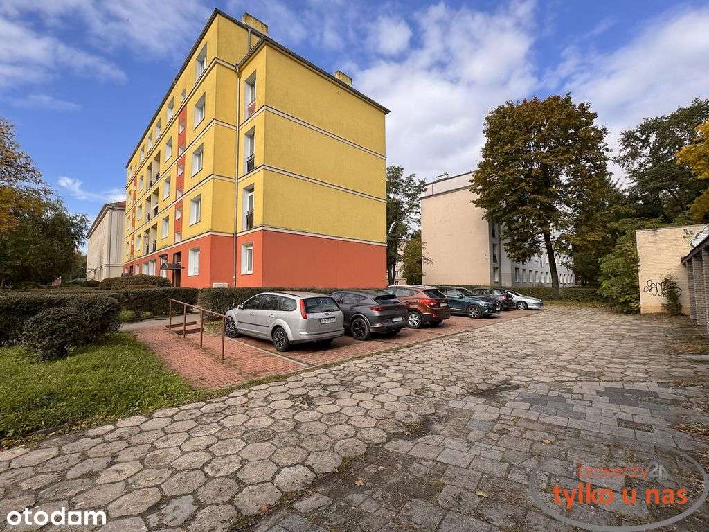 3 niezależne pokoje na Ogrodach - Piwnica/Parking-19