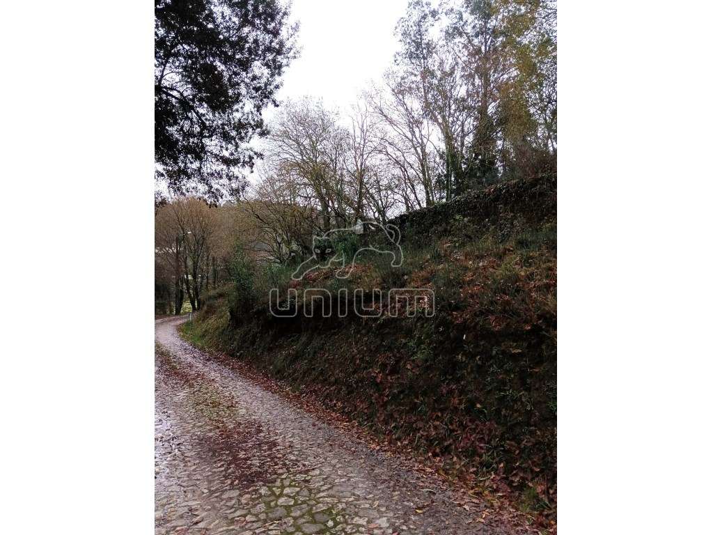 Terreno em Amonde - Grande imagem: 5/8