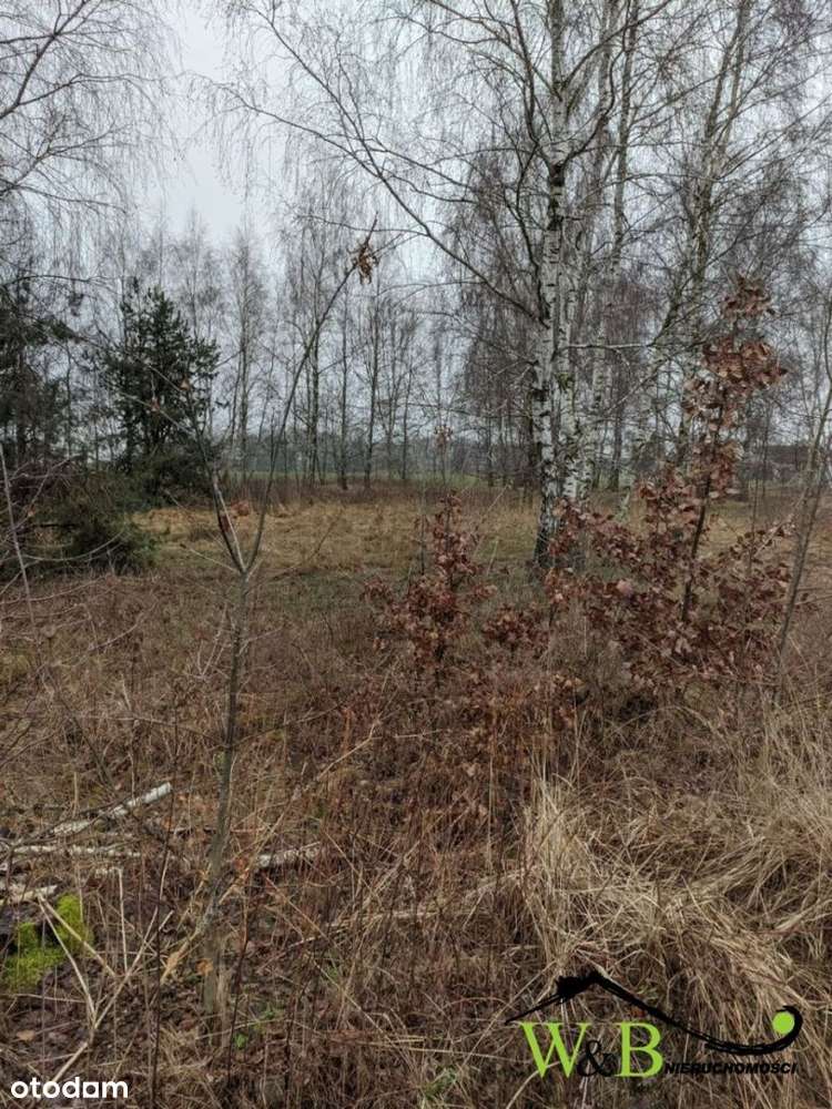 Działka budowlana Wrzosy - Pełny obrazek: 5/6