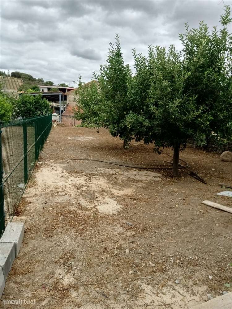 Moradia T3 com quintal em Castelo Branco, Mogadouro-6