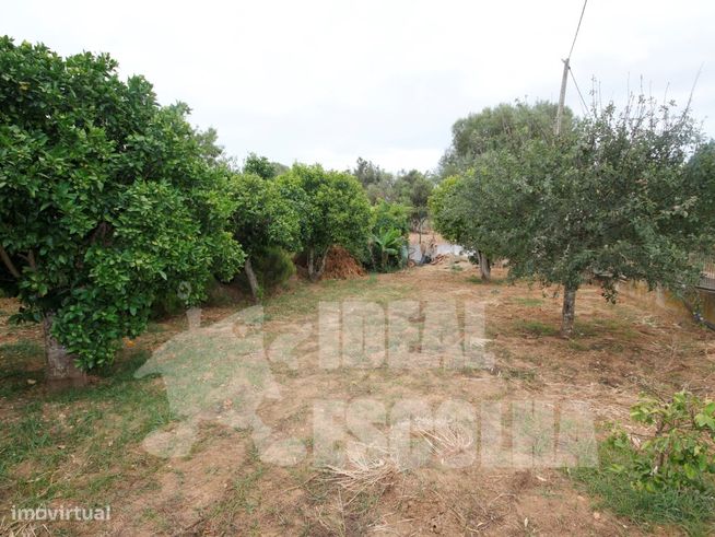 MORADIA V4 ALVOR 1200 000€-43