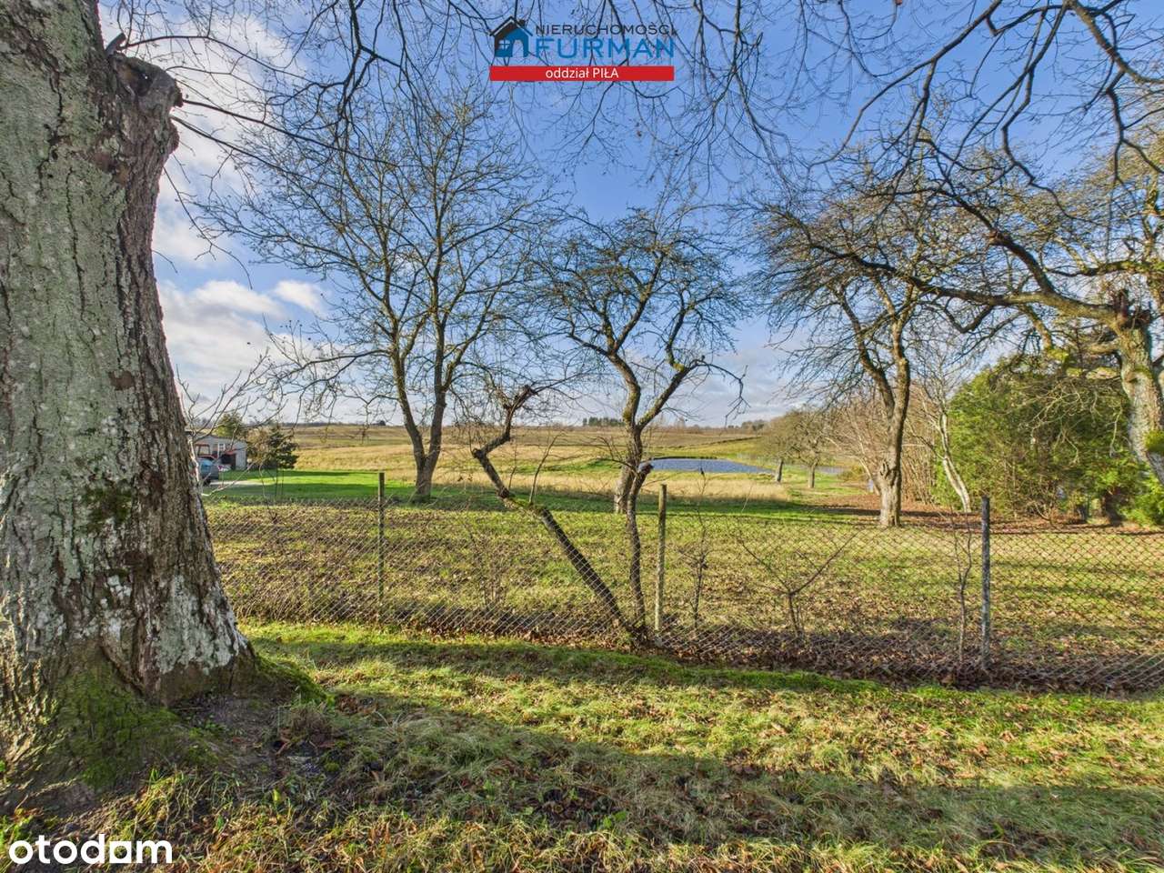 Dom mieszkalno usługowy na Pojezierzu Drawskim - Pełny obrazek: 4/18