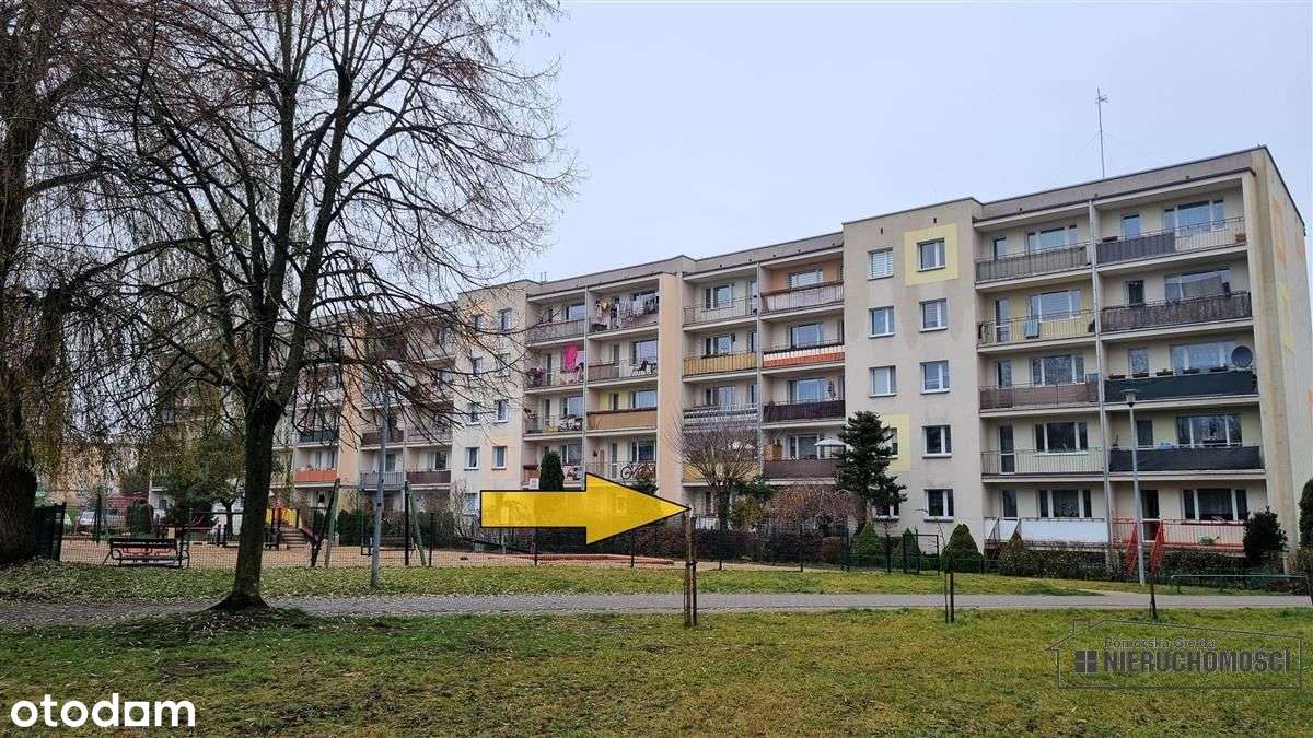 2 pokoje, parter, loggia i ogródek – Szczecinek.-3