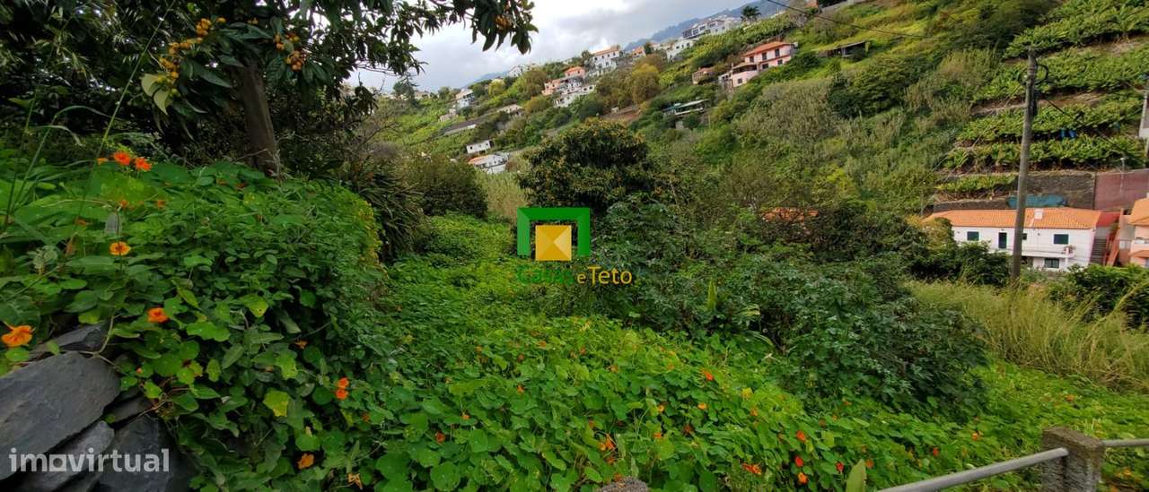 Terreno - Pico dos Barcelos - Grande imagem: 5/7