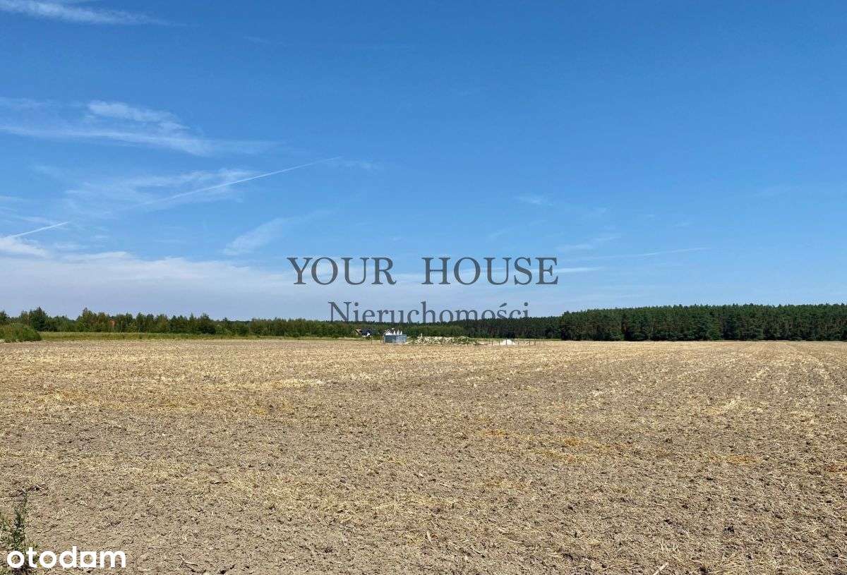 MiŁoszyce - Pełny obrazek: 5/9