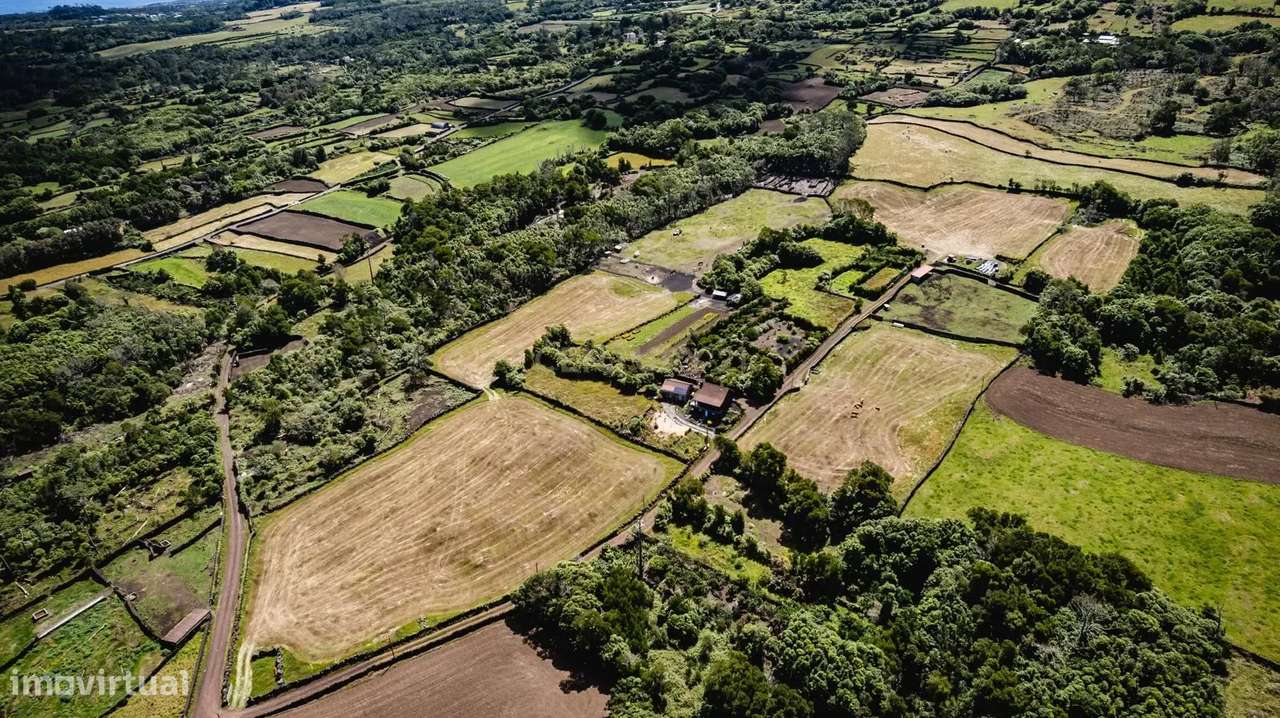 Terreno à Venda na Madalena, Ilha do Pico - 43.000m²-0