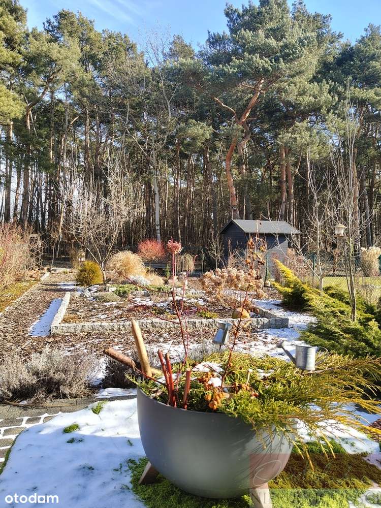 Śliczny domek tuż przy lesie-1