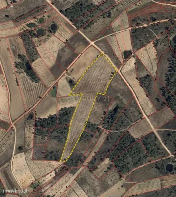 Terreno Rústico com 14.000m2, Chã da Vâ, Castelo Branco - Grande imagem: 1/11