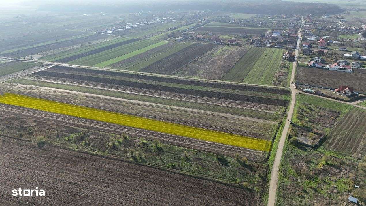 Teren 10.000 mp, parcelabil, ideal ansamblu case P+1 | Gulia - Dambovi-3