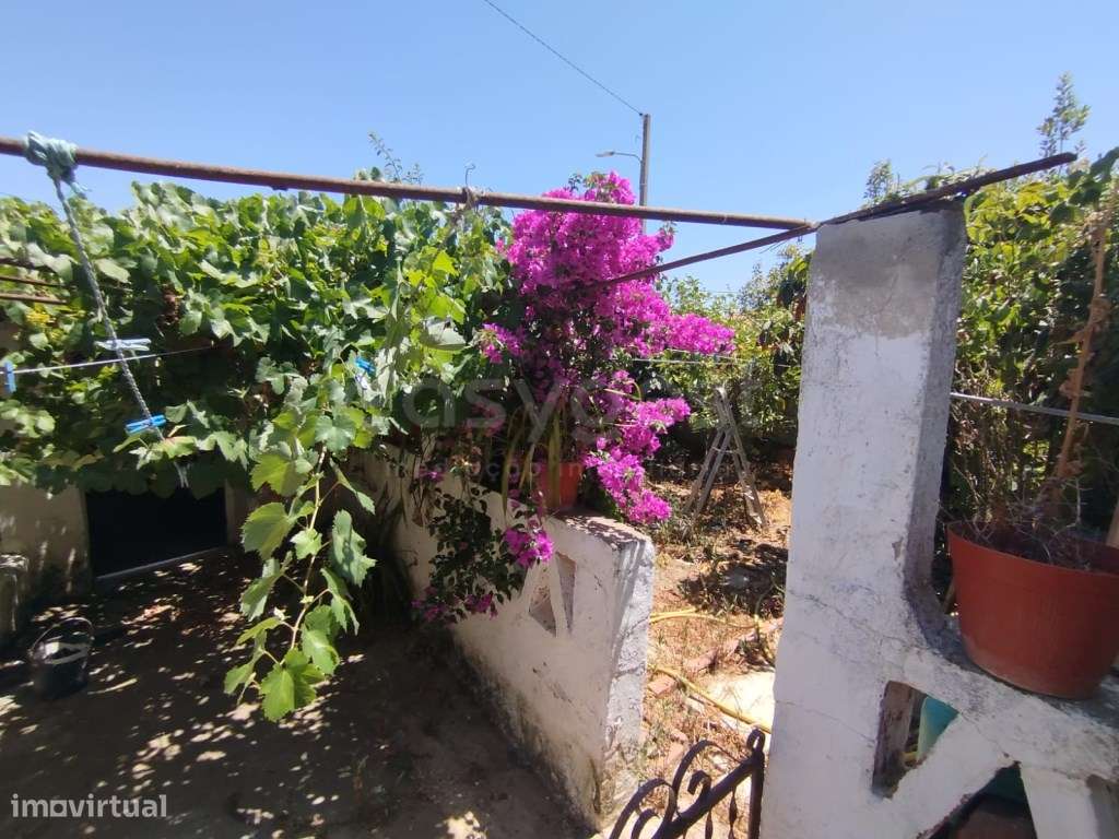 Moradia com 3 quartos e Logradouro localizada em Albernoa, Beja - Grande imagem: 2/14