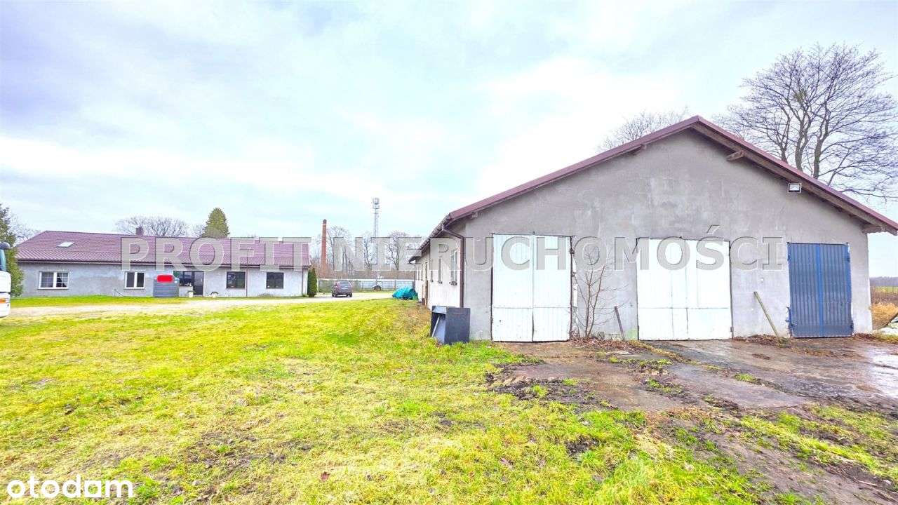 Duże gospodarstwo z zabudowaniami i działkami - Pełny obrazek: 5/20