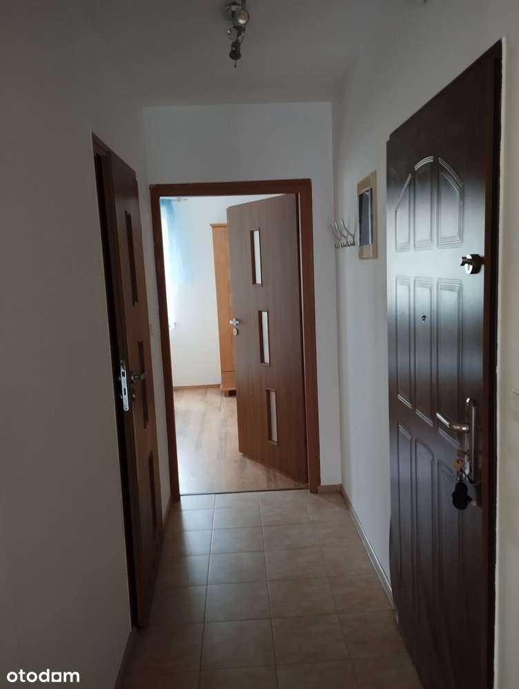 Klimatyczny apartament 58 m² z dużym TARASEM (16 m²) – Olszówka - Pełny obrazek: 2/11