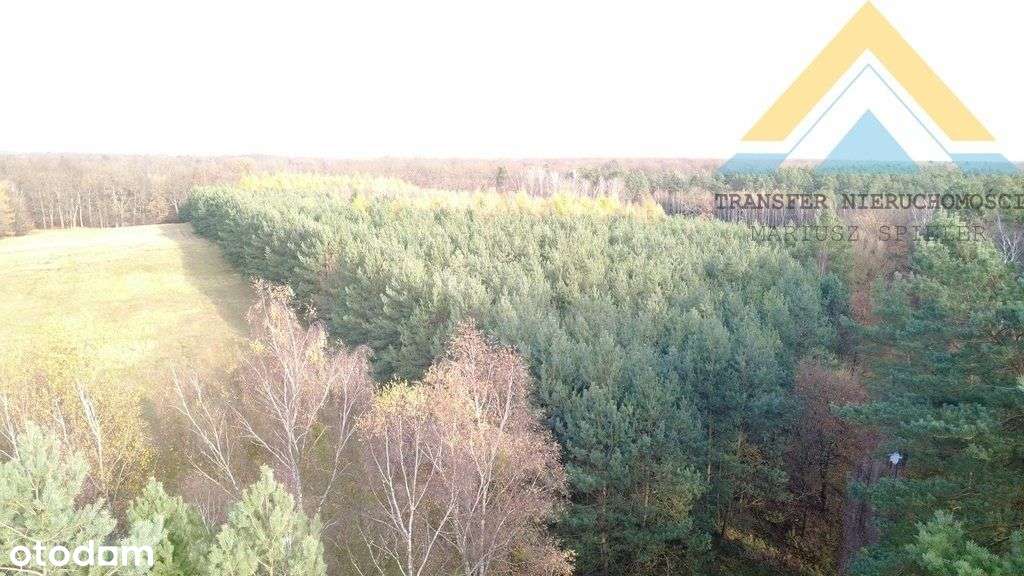 Działka leśna w Chłopowie 3,24 ha , 230 tys.!-4