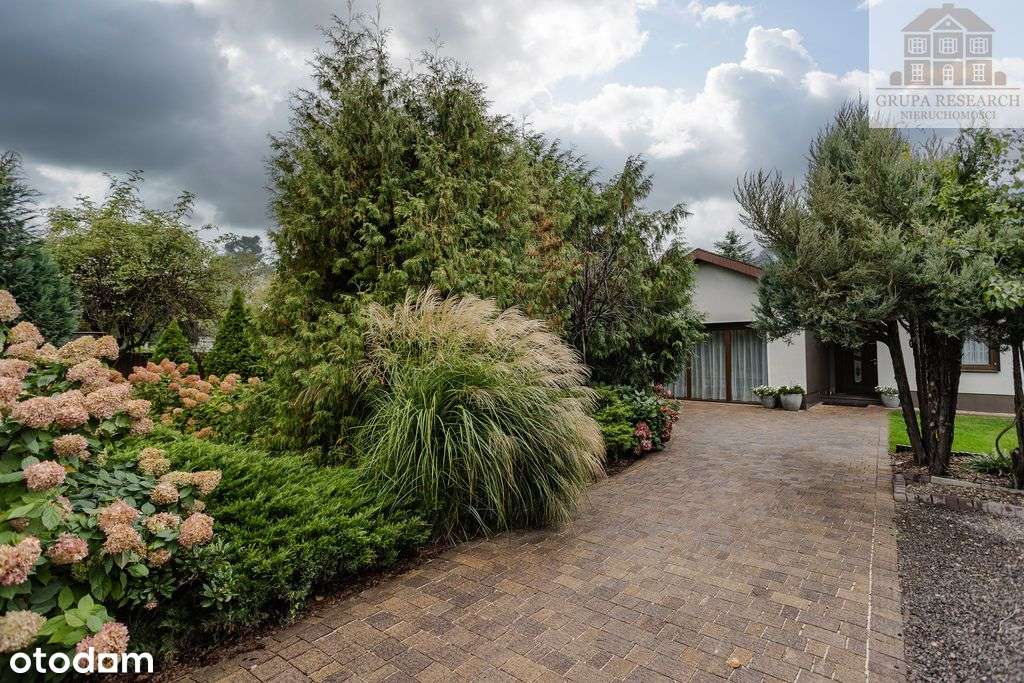 Zieleń, światło i absolutna prywatność-19