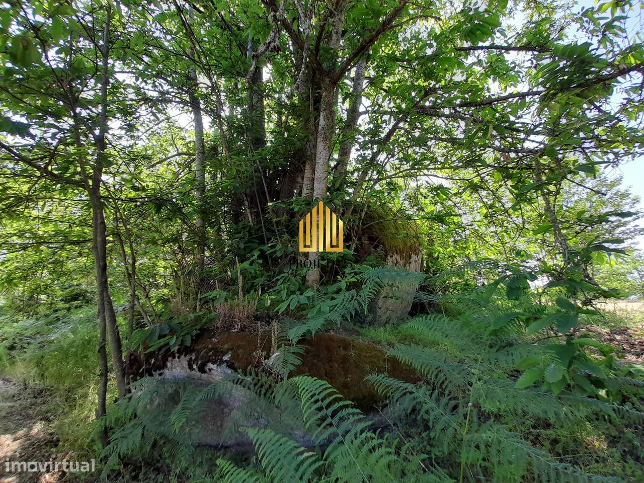 Terreno único com 21.500 m² Zona Vinhateira - Projeto Turístico-29