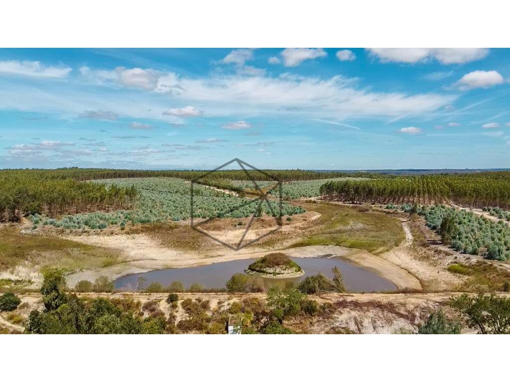 Herdade com 168 hectares em Ponte de Sôr para venda - Grande imagem: 3/33