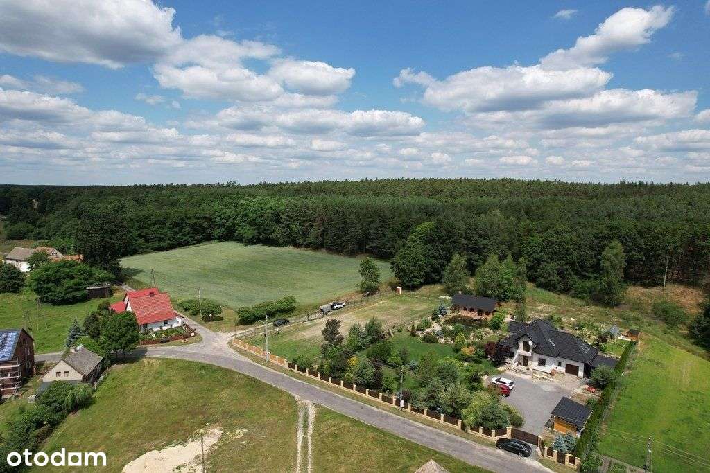 mikroklimat z dużą ilością jodu w otoczeniu zielen - Pełny obrazek: 4/10