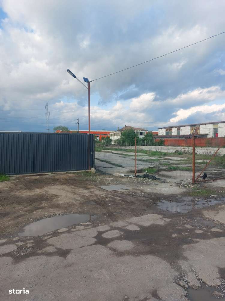 Magurele - Zona Mixta, Ideal Hala - Imagine principală: 4/9