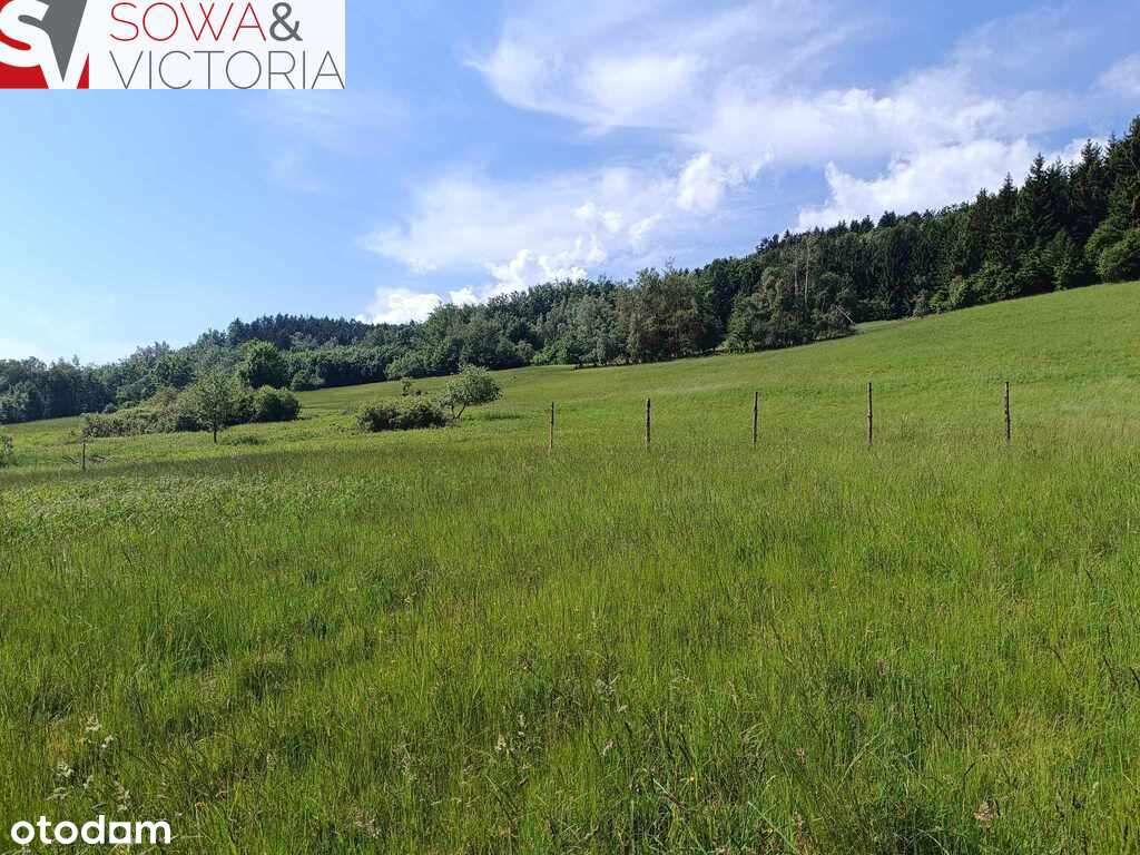 Widokowa działka pod lasem , prąd na działce-3