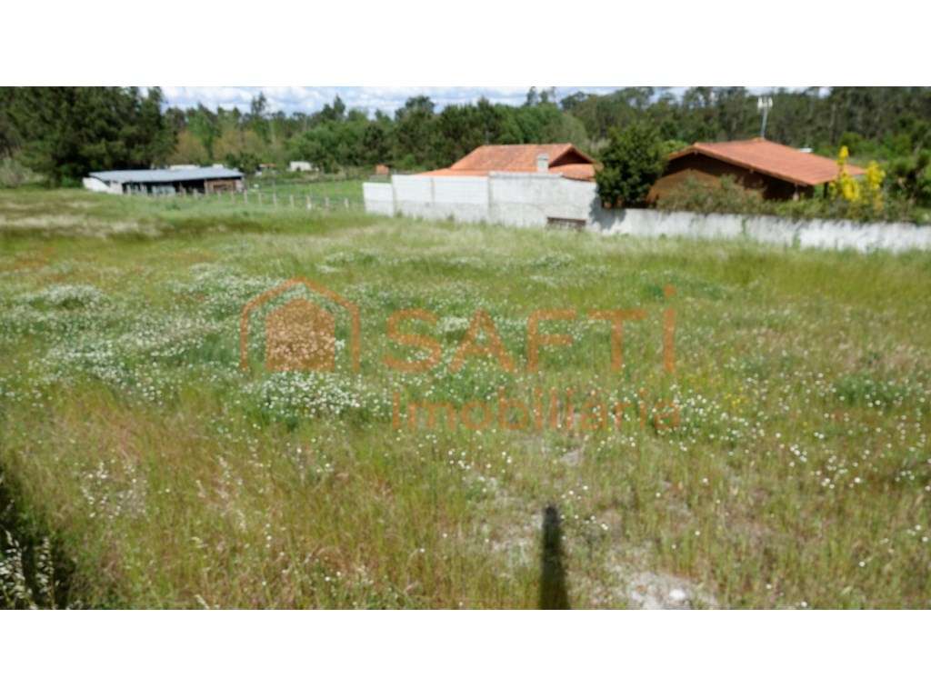 Terreno com Projeto aprovado para uma Moradia Térrea T3+1 com Garag... - Grande imagem: 5/14