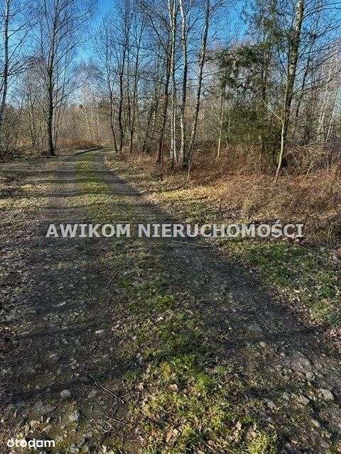 Nowa Niższa Cena - Pełny obrazek: 5/7