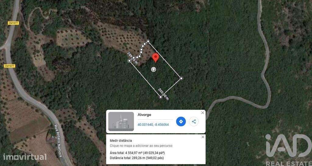 Terreno em Alvorge de 4550,00 m2 - Grande imagem: 2/9