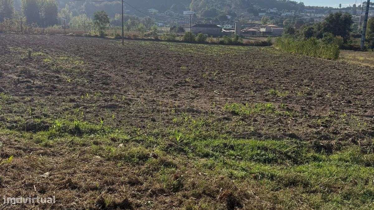 Terreno Rustico com 4.000m2 em Corvite - Grande imagem: 4/4