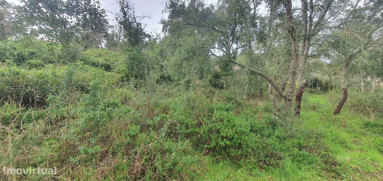 Terreno rústico com 2520 m2, construção rural e poço - Grande imagem: 3/15