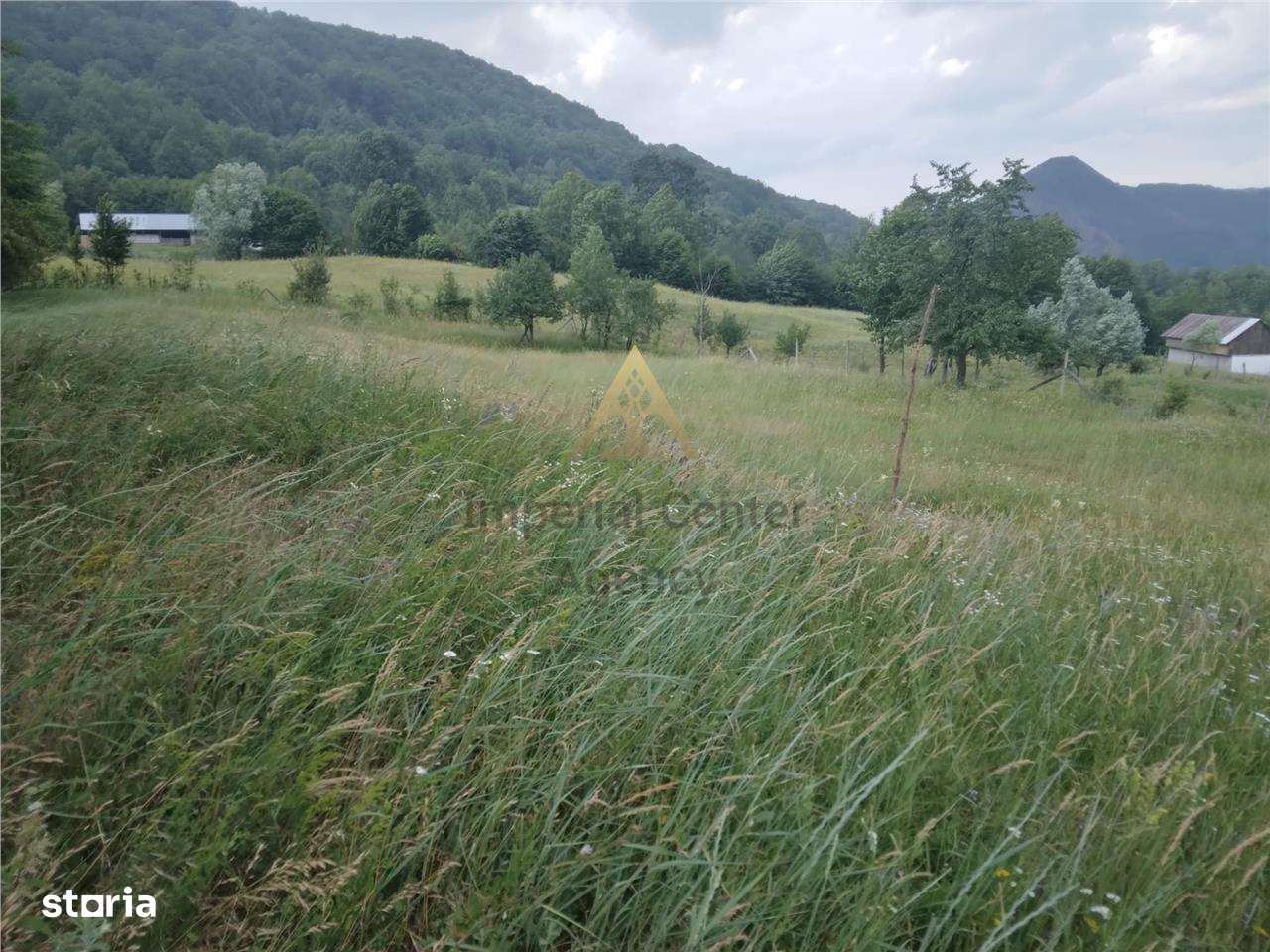 TEREN 2695 MP de vanzare in Statiunea TG OCNA - Imagine principală: 4/4