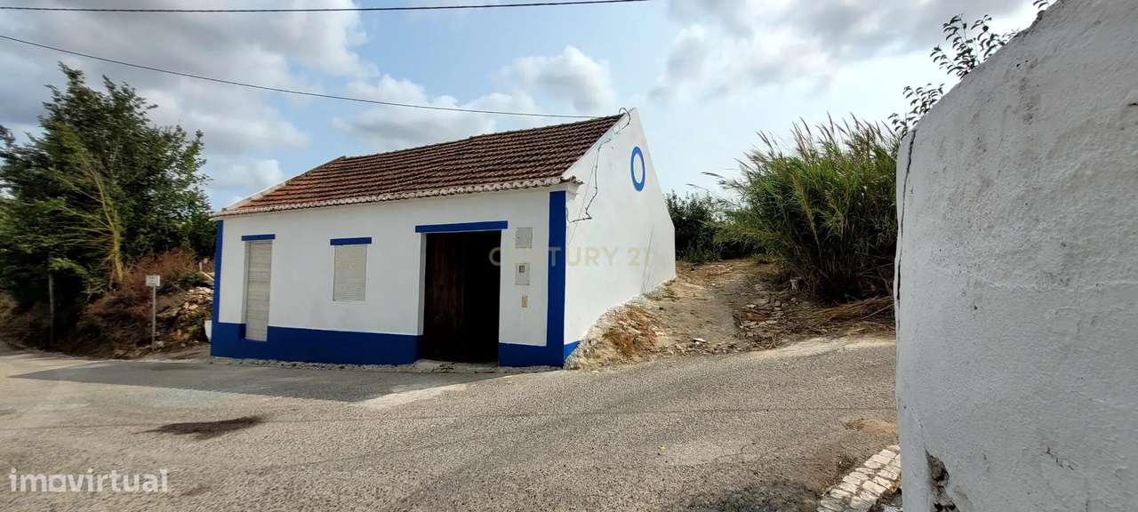 Quinta com moradia no Arneiro Merceana com 3ha de terreno com arvores - Grande imagem: 4/16