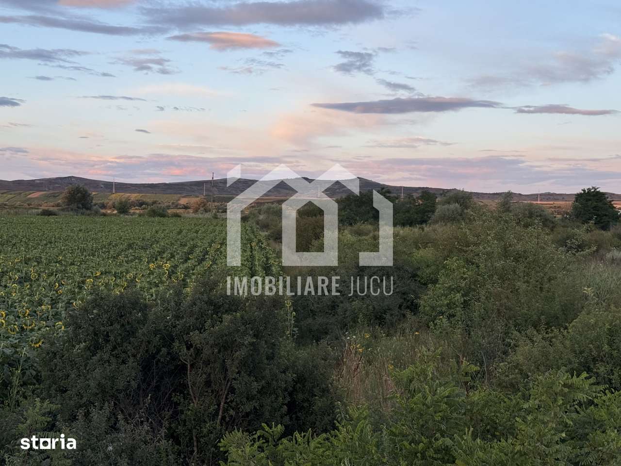 Teren – 7.194 mp | Răscruci – Zona Tetarom-4