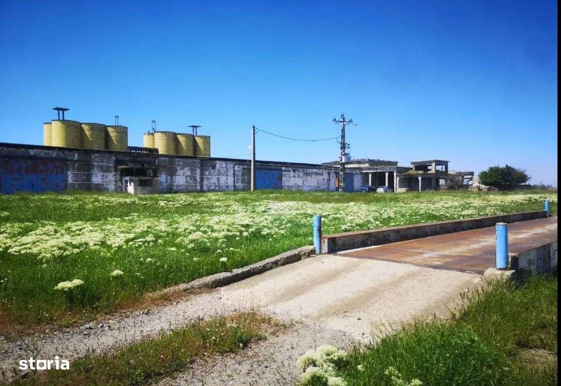 Fosta ferma Urleasca- 171.937 m², judetul Braila - Imagine principală: 5/11