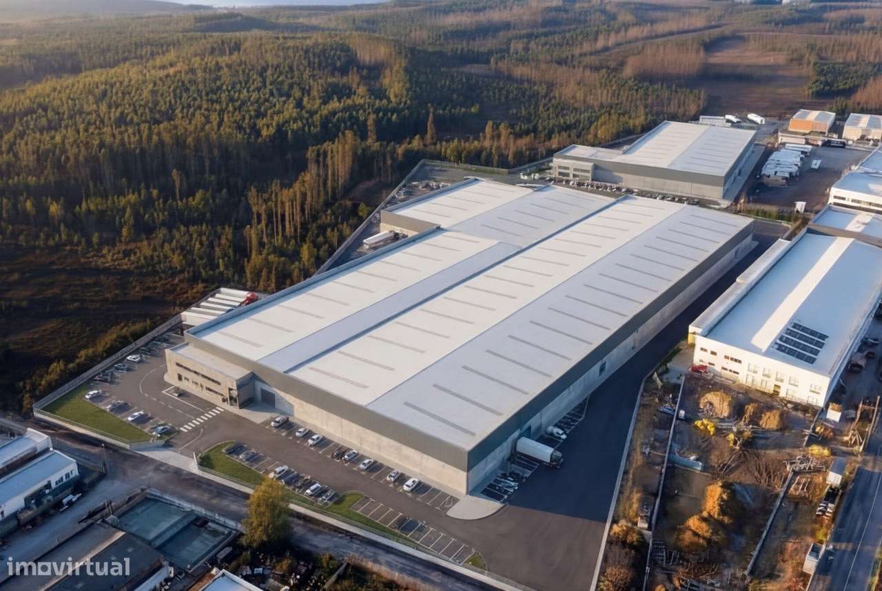 Terreno Industrial para Venda – Zona Industrial de Albergaria-a-Velha-4