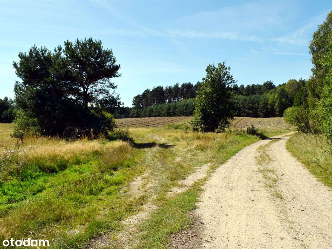 Działka rolna - Ostroróg-7