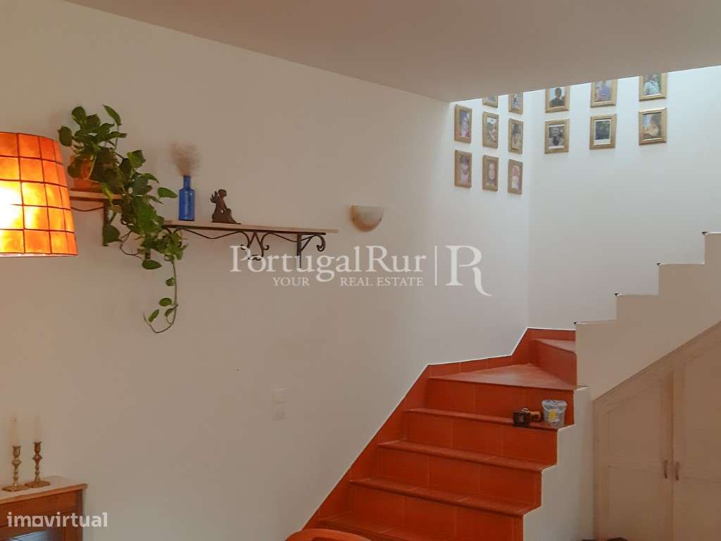 Quinta Rural 8.000 m2 - 2 Casas Habitáveis - confina com Ribeira-9