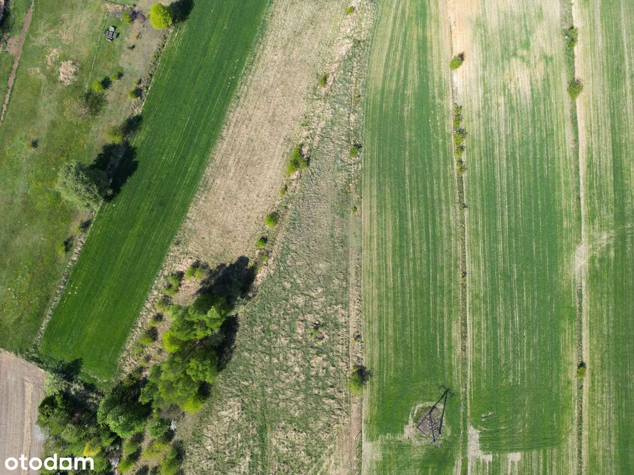 Działka w Rybniku-3