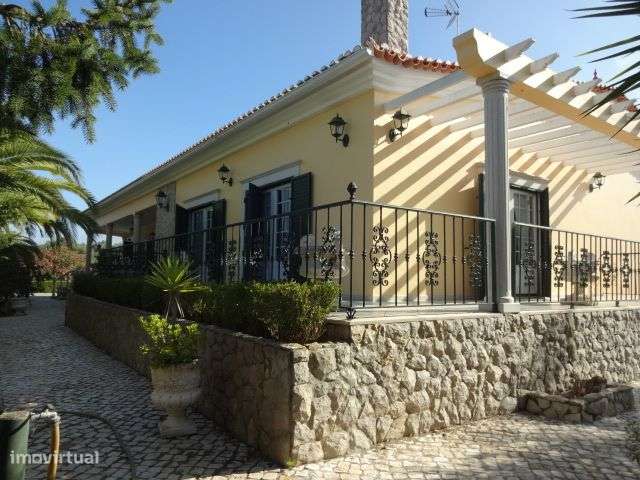 Quinta T/7 Cartaxo - Grande imagem: 5/60