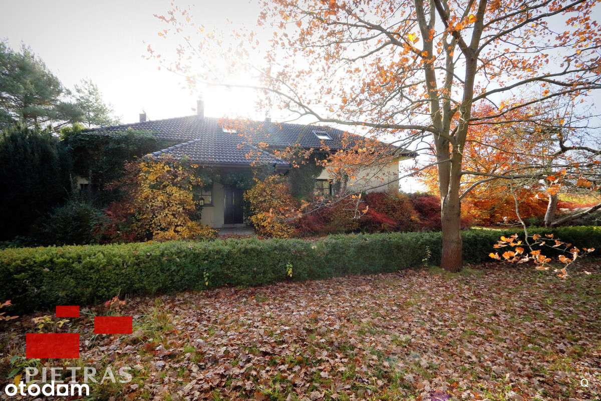 Wyjątkowe Puszcza Zielonka 3 działki z WZ - Pełny obrazek: 4/20